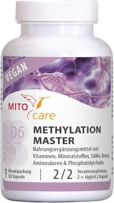 Methylation Master